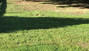 Vue du Gar - Foto 3, Garden view