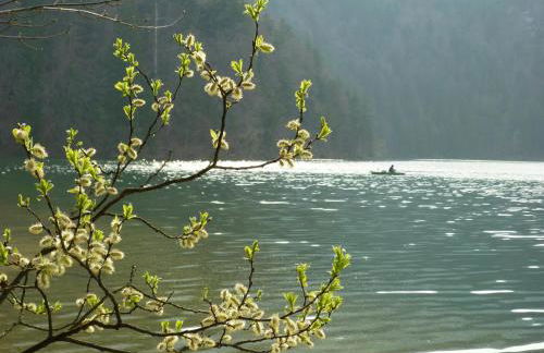 Ferienhof Am Holderbusch - Foto 12