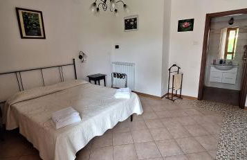 Cecco di Nara - Foto 8