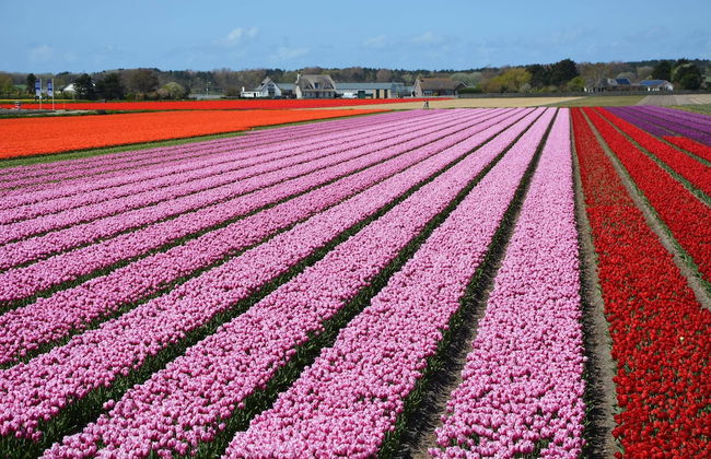 Cozy Holiday Home in Noordwijkerhout near Lake - Foto 24