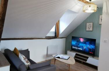 Les appartements du centre, refaits à neuf, climatisés, hyper centre, 50m à pieds des commerces, restaurants, parking gratuit - Foto 11