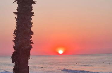 Sol en la plaja - Photo 48