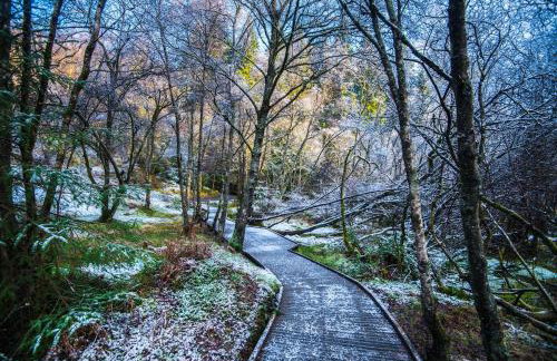 12 & 14 On the Hill Aberfoyle, twin holiday cottages in Scenic Loch Lomond & Trossachs National Park - Foto 57