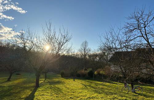Maison de la forêt - Foto 8