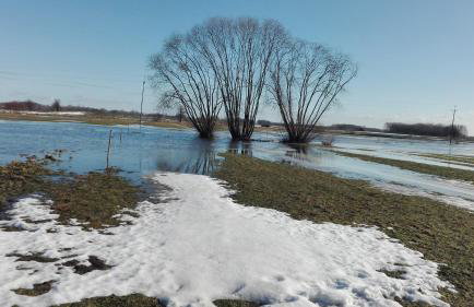 Dom w spokojnej okolicy - Foto 25