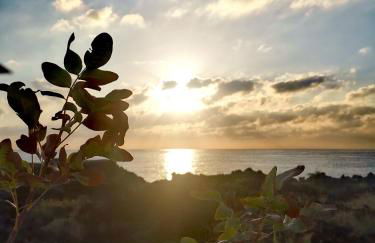 La casa dei Capperi - The house of capers 1 - Foto 50