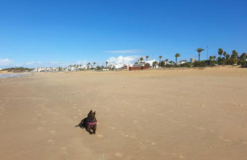 Cozy Chalet - playa a 200m - Foto 10