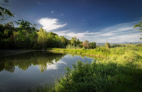 Fattoria Di Pancole - Foto 70