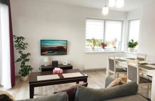 Apartament Jagielloński - Foto 1