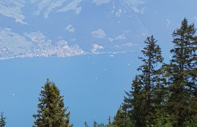 Two-bedroom Apartment for 4-5 Guests With Lake and Mountain Views - Foto 20