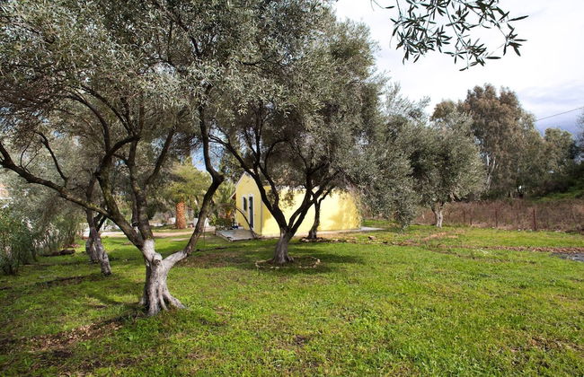 Cute Yellow Handmade House With Garden - Foto 55