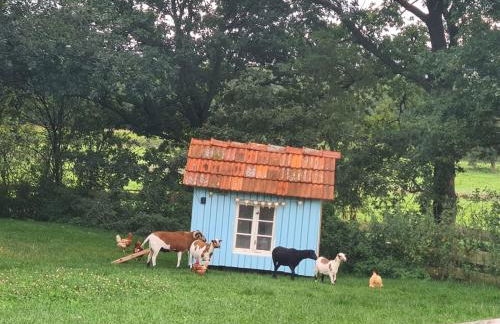 Ferienwohnung in saniertem Bauernhaus - Foto 19