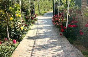 Apidalos Naus Apartment - Foto 14