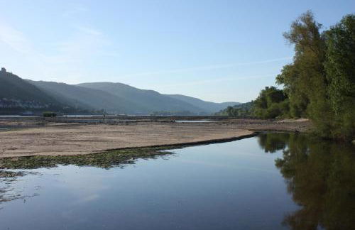Ferienwohnung Bacharach - Photo 19