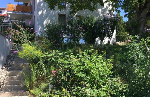 Fewo Spectrum - Foto 31