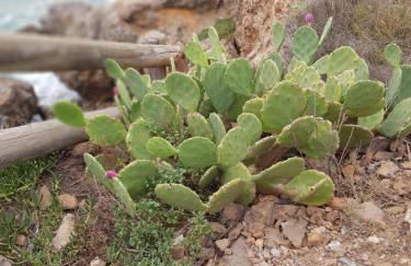 La Galiote, T2 vue port, terrasse et parking - Foto 47