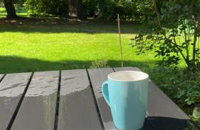 Altes Pastorenhus - Land und Meer - Foto 23