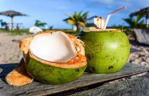 Casabela Sargi Serra Grande - Photo 36