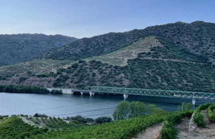 My Grandmas A casa das avós - Foto 24