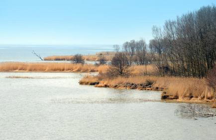 Four Winds - Foto 26