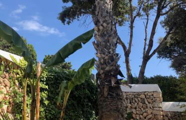 Splendide Villa les pieds dans l'eau dans la baie de Mahon - Foto 22