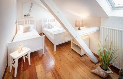 Silbermöwe - b65688 - Foto 6