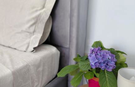 S&M Cozy Garden Lagonissi - Photo 13