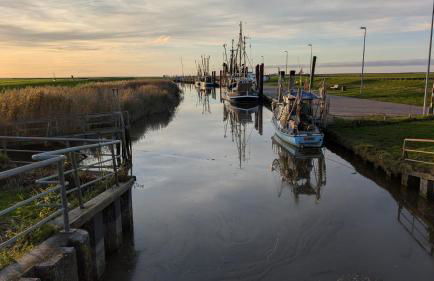 Haus am Meer - Foto 15