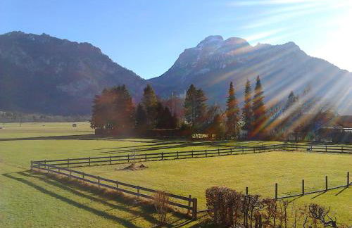 Lizzi Mountain Apartments - Foto 11