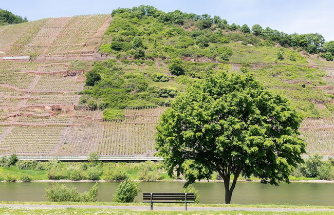 Haus Junge Traube - Photo 42