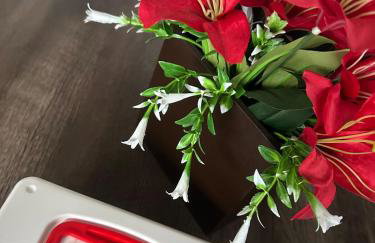 CASA PISCINA CHURRASQUEIRA Wi-Fi BERTIOGA - Photo 15