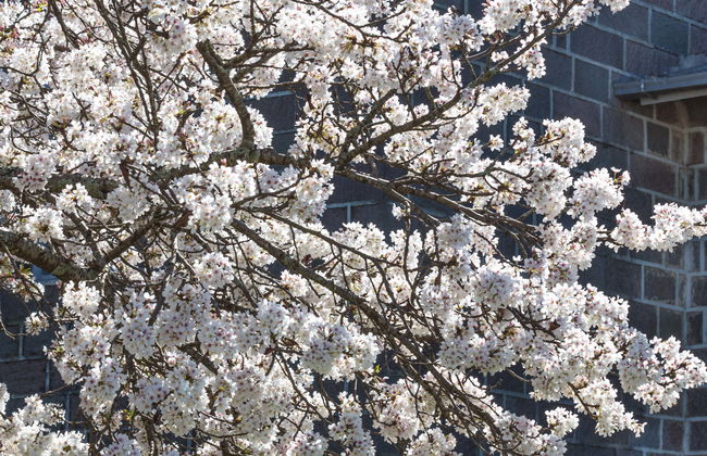 São Joaquim Bike Tour - Photo 1