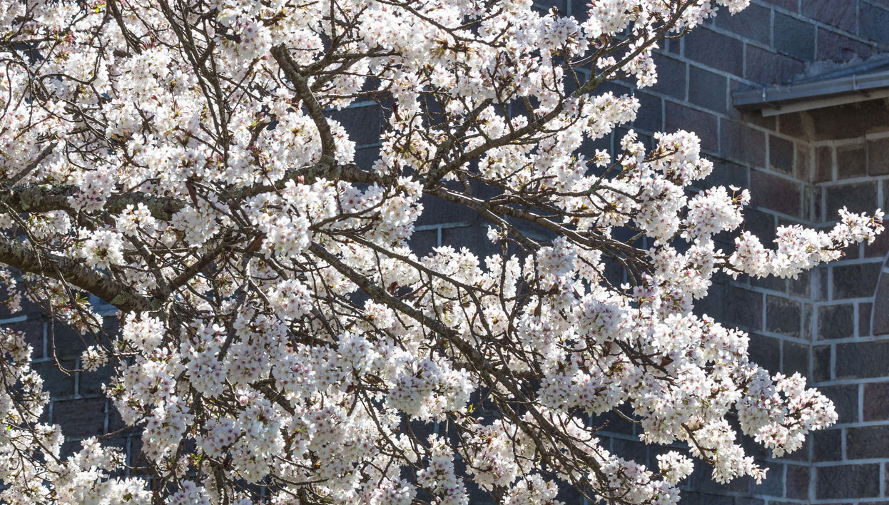 São Joaquim Bike Tour