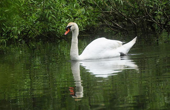 Urbanside Penthouse - Foto 37