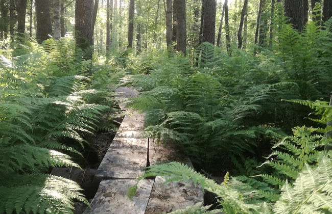 Villa raita - Foto 24