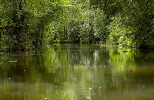 Logis de LANGE studio 2 p - Foto 35