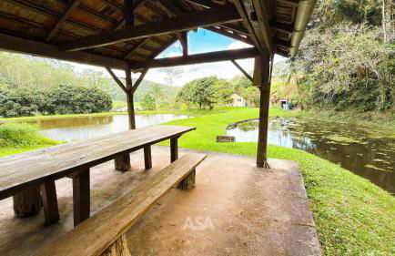 ASA | Sítio Vô Tontini | Natureza | Quadra | Pisc. - Foto 25