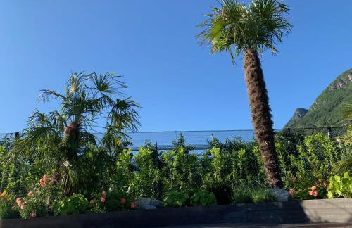 Apartments ANNY - Foto 8