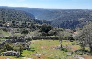 La Casa del Regidor Hotel Rural Fermoselle - Photo 21
