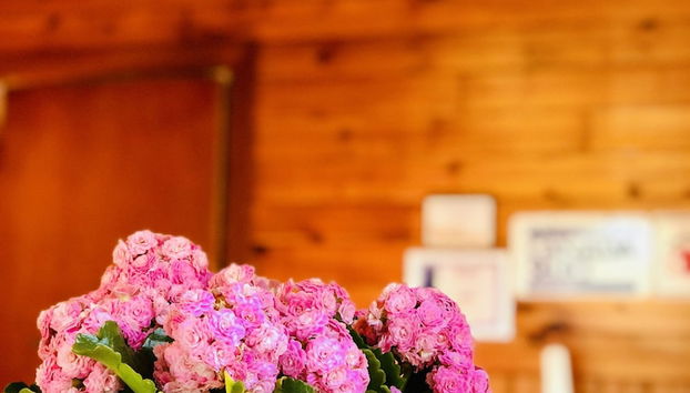 Check-in/check-out kiosk