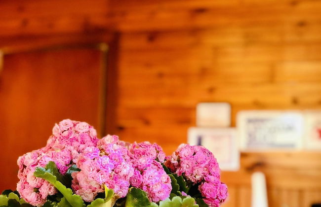 Green Gables Bungalow Court - Photo 5