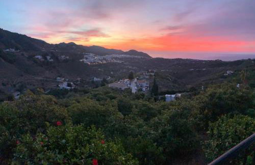 El Nido Frigiliana - Cortijo Tito Manuel - Photo 37