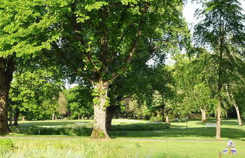 Parkblick Bad Driburg - Foto 45