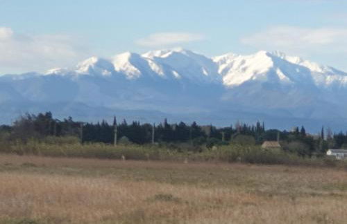 Saint Laurent de la Salanque Charmant T2 classé 3 étoiles - Foto 24