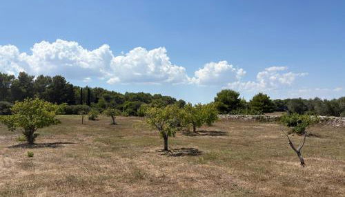 Tenuta Mare Verde - Foto 4