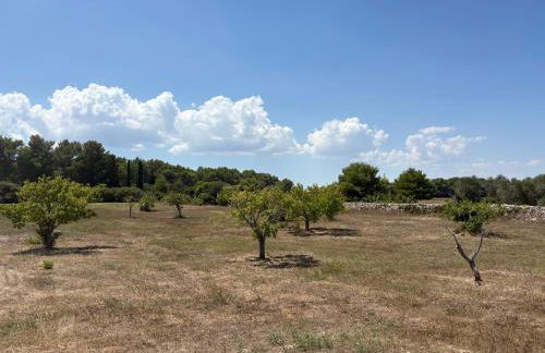Tenuta Mare Verde - Foto 4