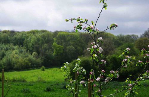 Orchard Cottage - Kent - Foto 9