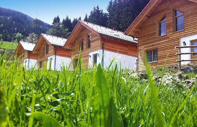 Holiday Home in Gaal im Murtal in a Beautiful Setting - Foto 1