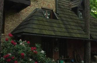 Leśny kasztel pod sosnami. Pokój w koronach drzew. - Foto 18