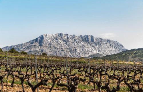 La Bastide - Le Grenache - Le Syrah au Domaine Chateau Henri Bonnaud - Foto 33